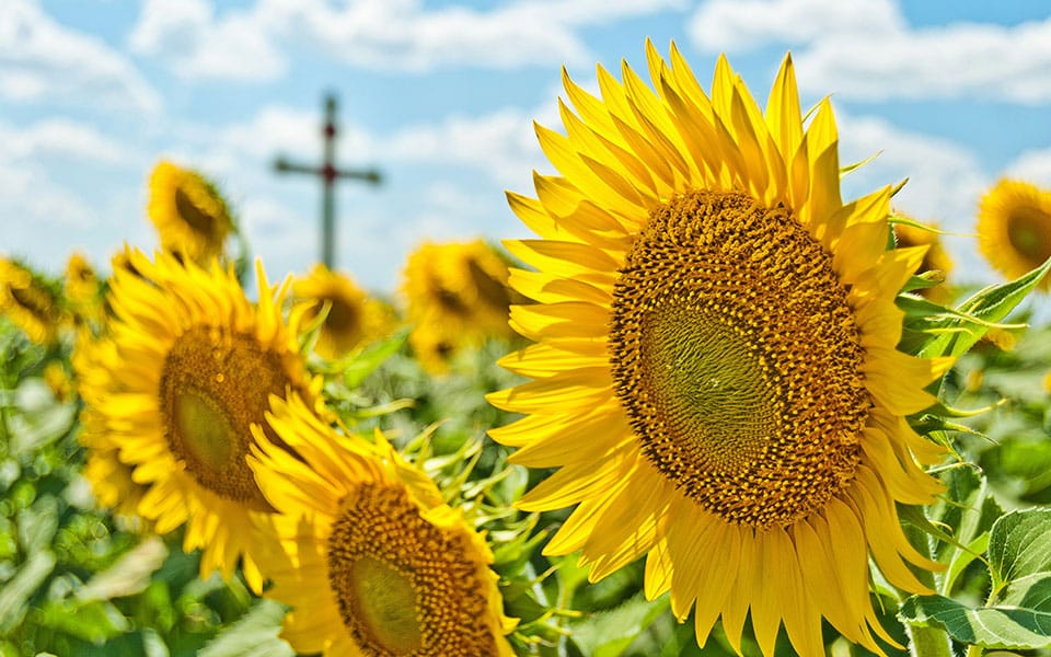 Welcoming the First Day of Summer Through a Christian Lens