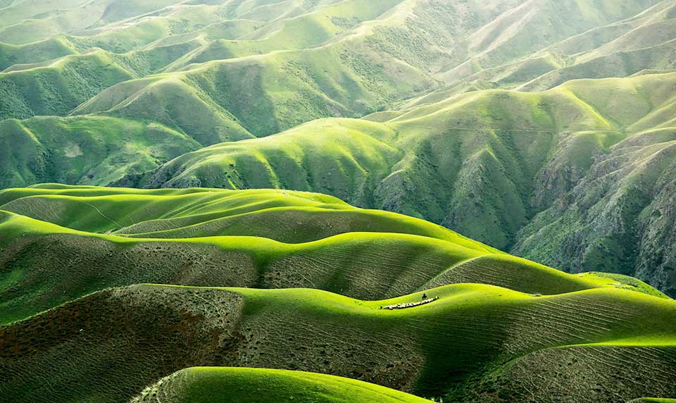 Not a Battleground: Our Sacred Mission to Heal Creation