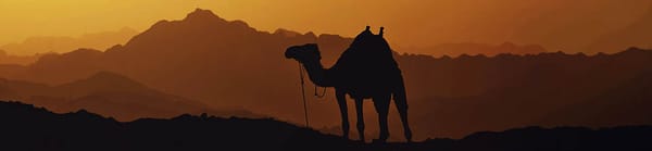 Middle East & Africa